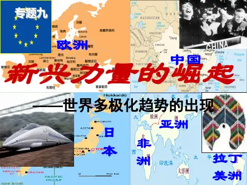 用一轮复习新兴力量的崛起[人民版]