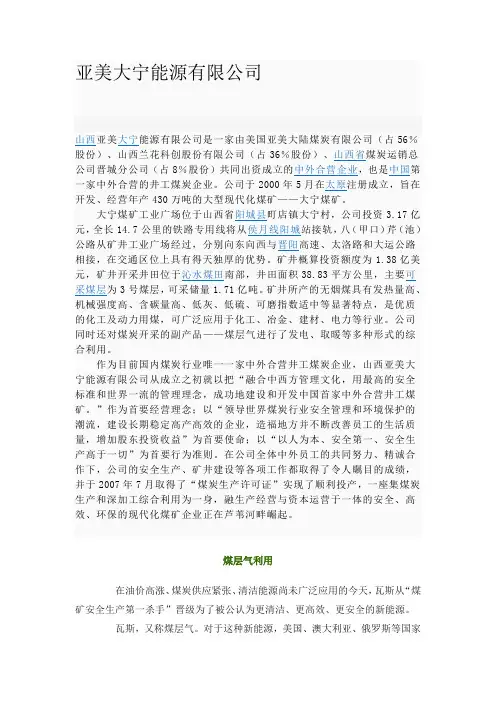 亚美大宁能源有限公司