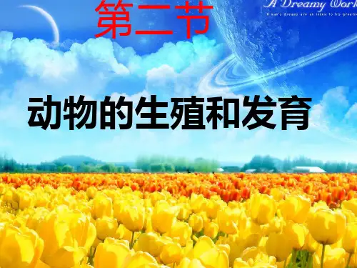 北师大版生物八上19.2《动物的生殖和发育》课件(共50张PPT)