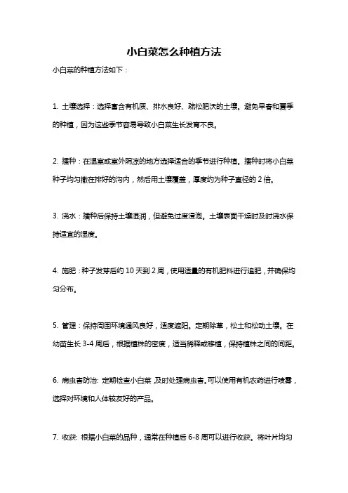 小白菜怎么种植方法