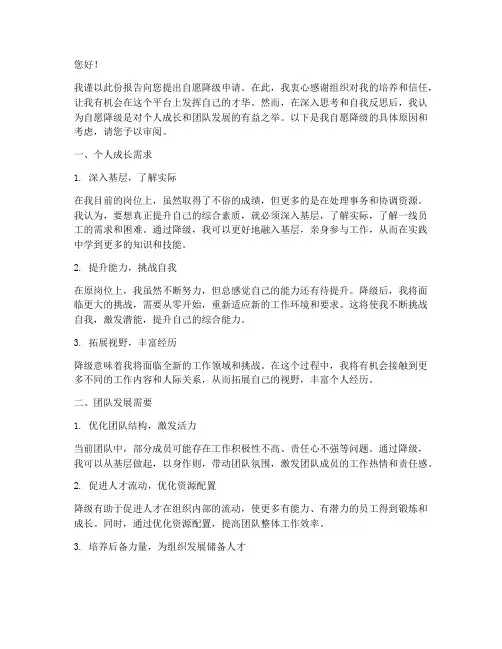 职位自愿降级申请报告