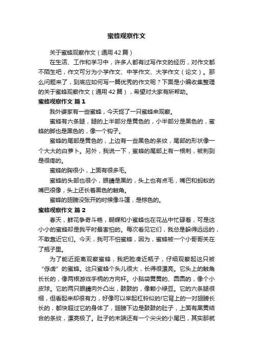 关于蜜蜂观察作文（通用42篇）