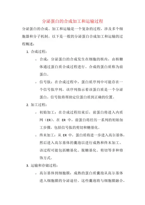 分泌蛋白的合成加工和运输过程