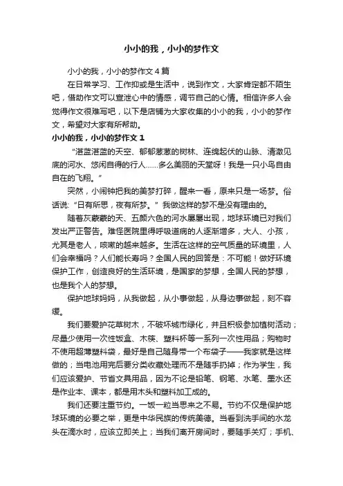 小小的我，小小的梦作文