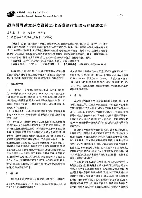 超声引导建立经皮肾镜工作通道治疗肾结石的临床体会
