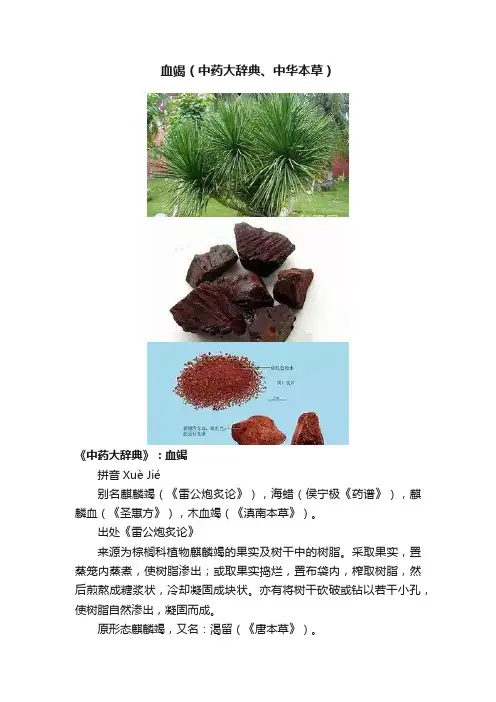 血竭（中药大辞典、中华本草）