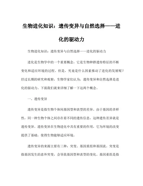 生物进化知识：遗传变异与自然选择——进化的驱动力