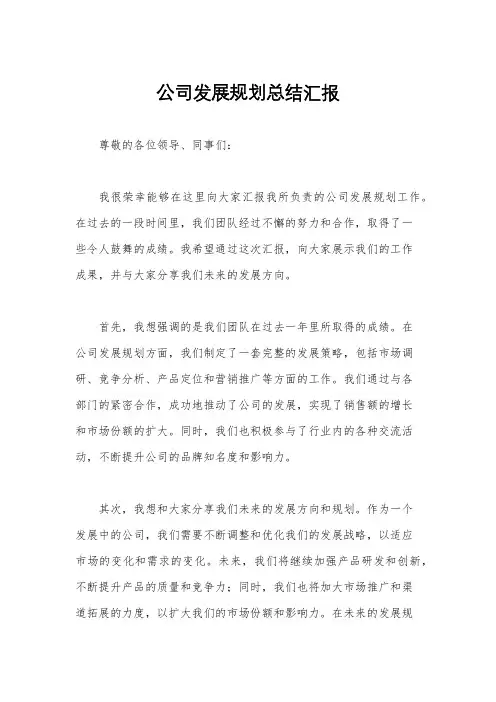 公司发展规划总结汇报