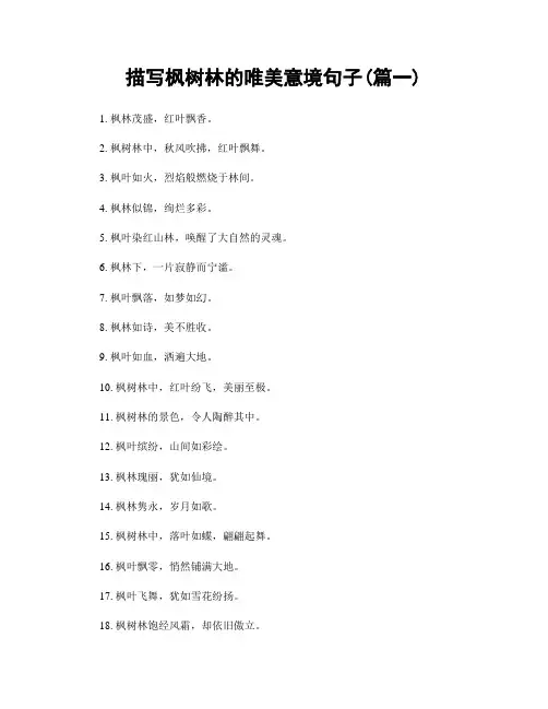 描写枫树林的唯美意境句子(精选合集2篇)
