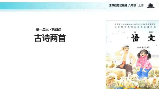 古诗两首《示儿》《闻官军收河南河北》  PPT课件