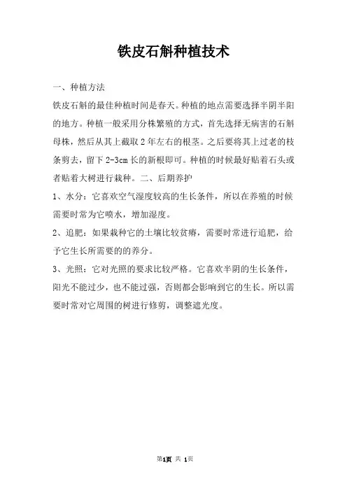铁皮石斛种植技术 