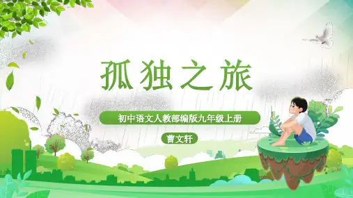 第17课《孤独之旅》课件精品