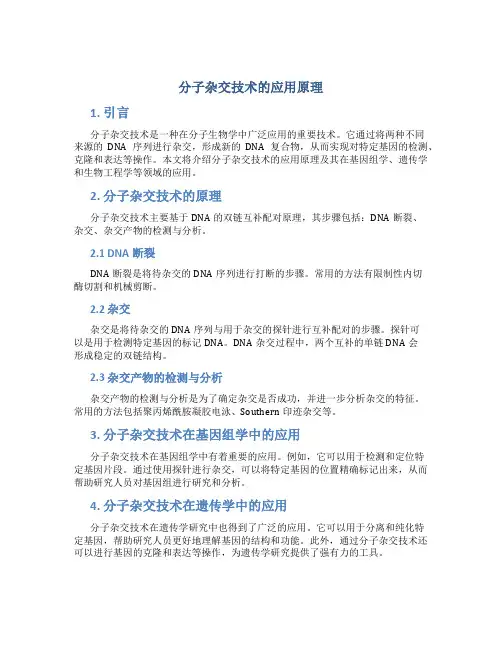 分子杂交技术的应用原理