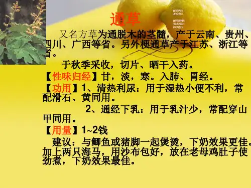 催乳常用中药