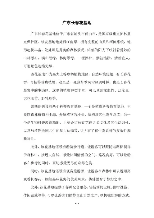 广东长春花基地