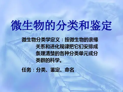 章十 微生物的分类和鉴定