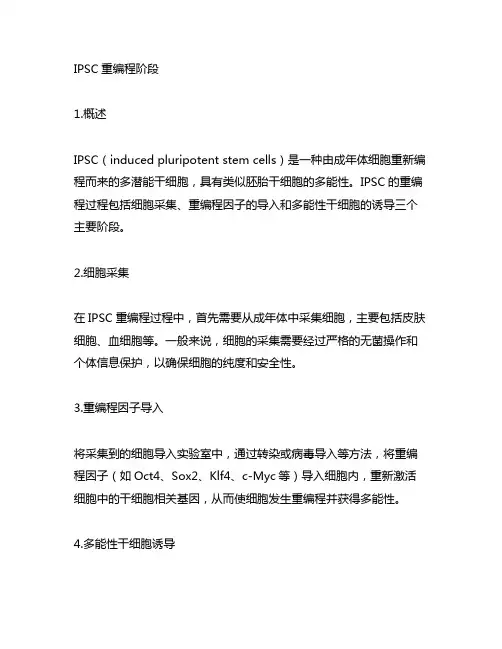 ipsc重编程阶段、克隆筛选阶段、纯化扩增阶段。