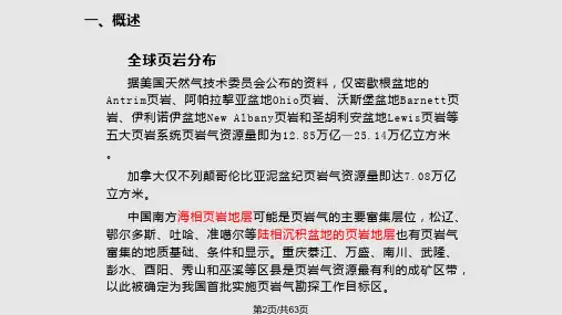 页岩气研究综述成藏机理储层性质渗流机理吸附机理含气性分析及主要开发技术
