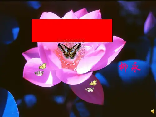 蝶恋花·伫倚危楼风细细ppt4
