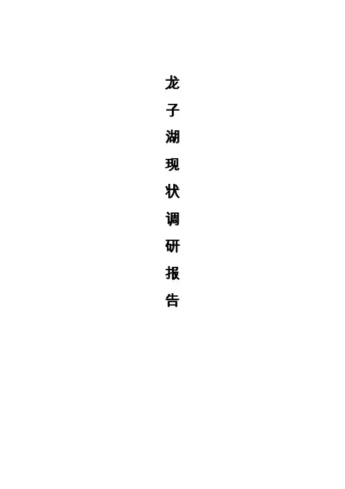 龙子湖调研报告