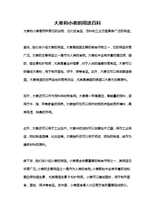 大麦和小麦的用途百科