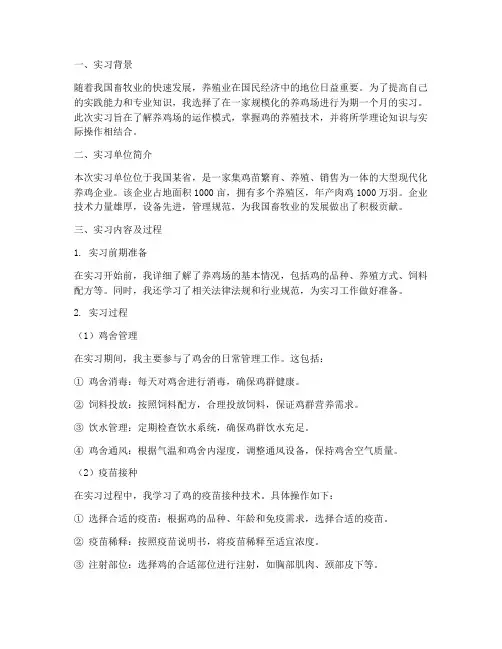 在鸡场的实习报告