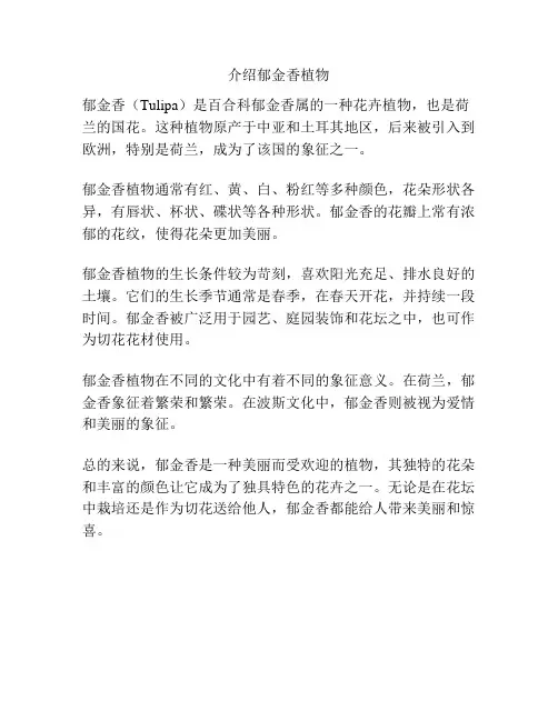 介绍郁金香植物