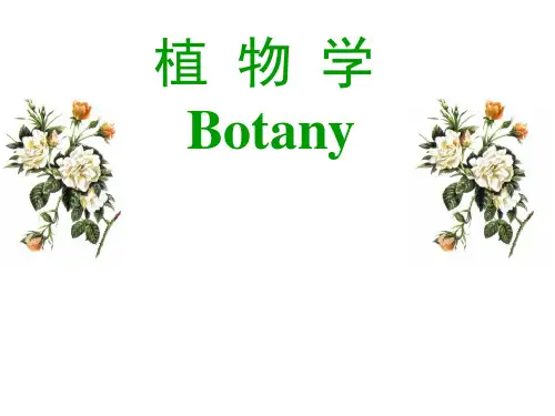植物学 第08章生殖器官——花