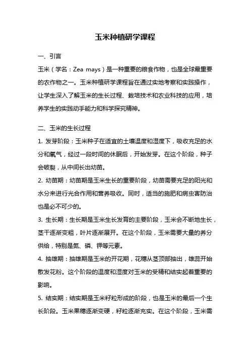 玉米种植研学课程