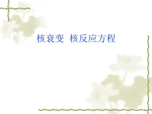 衰变 核反应