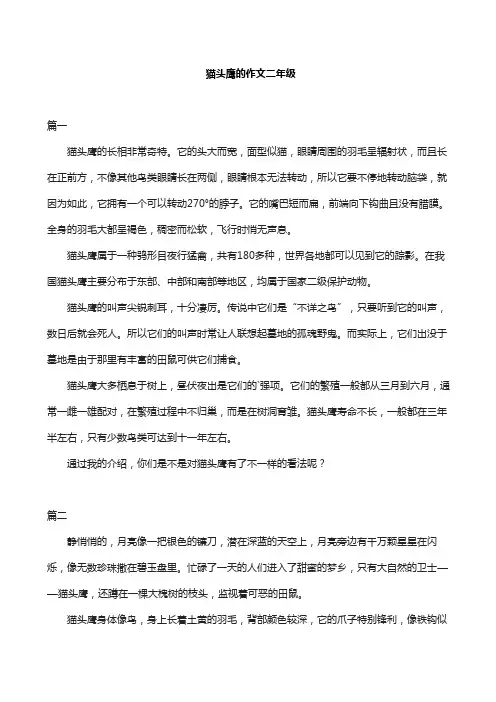 猫头鹰的作文二年级