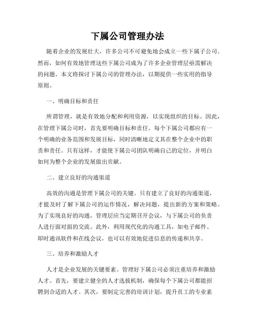 下属公司管理办法