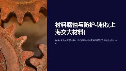 材料腐蚀与防护-钝化(上海交大材料)