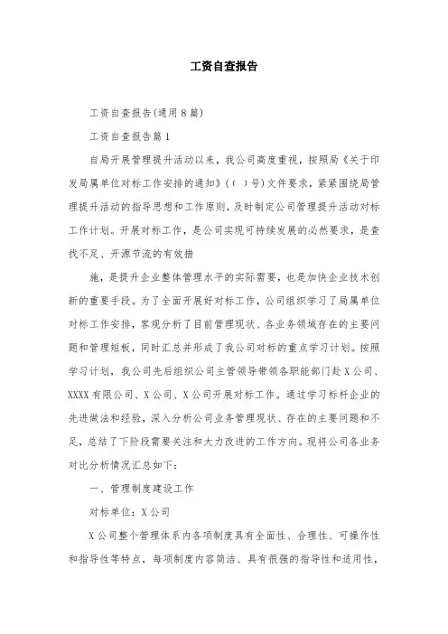 工资自查报告