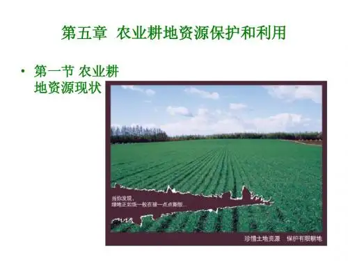 第五章  农业耕地资源ppt