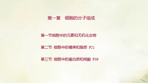 新教材苏教版高中生物必修1第一章细胞的分子组成教学课件