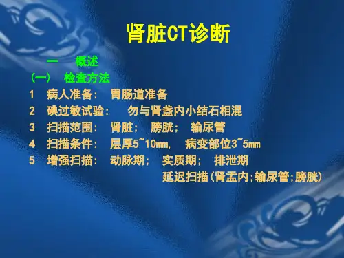 CT诊断学肾脏CT