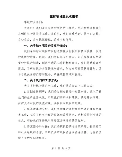 驻村项目建设承诺书