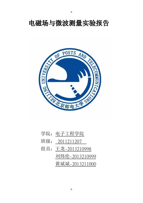 电磁场与微波测量实验报告