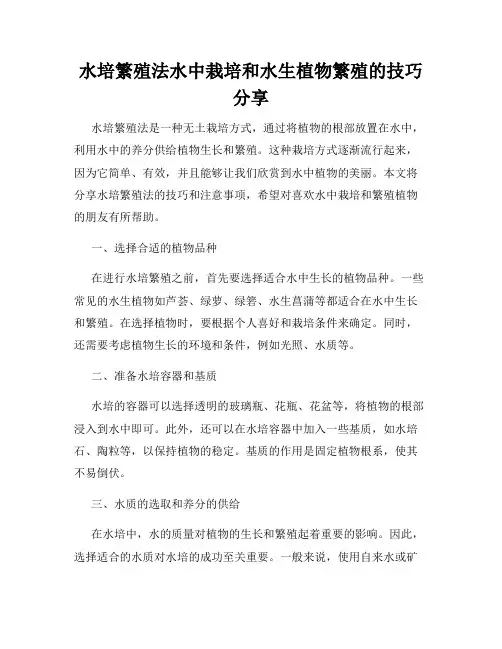 水培繁殖法水中栽培和水生植物繁殖的技巧分享