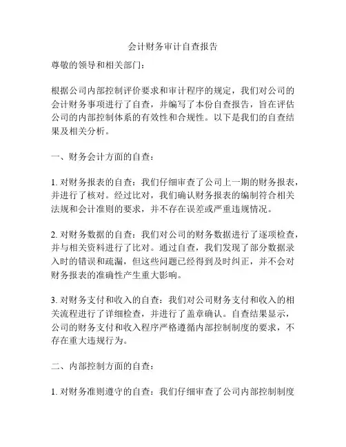 会计财务审计自查报告