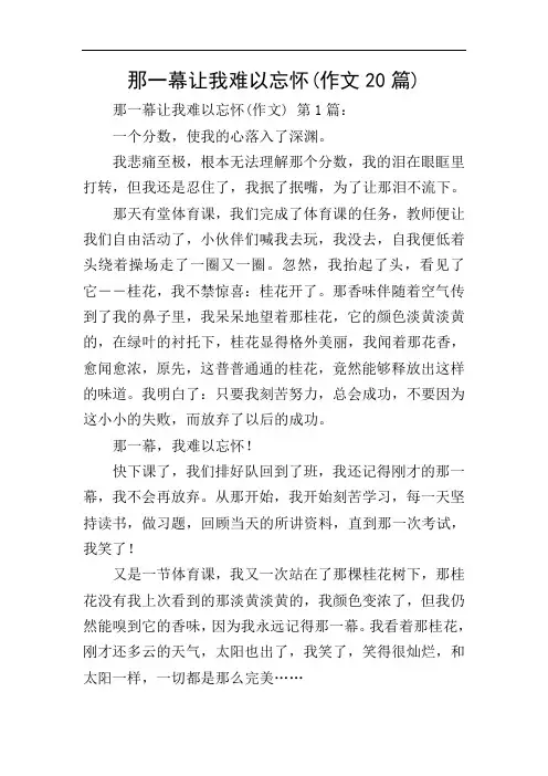 那一幕让我难以忘怀(作文20篇)