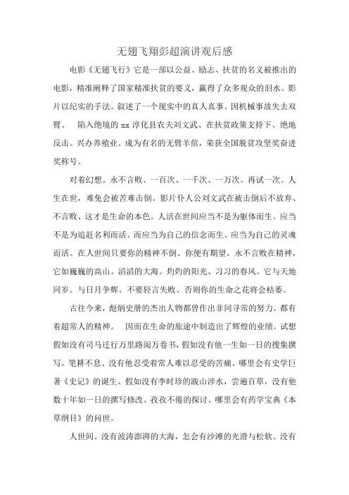 无翅飞翔彭超演讲观后感