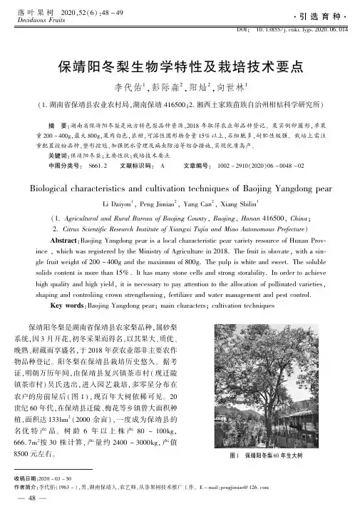 保靖阳冬梨生物学特性及栽培技术要点
