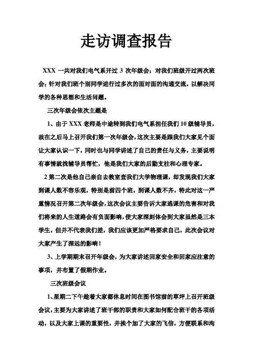 走访调查报告