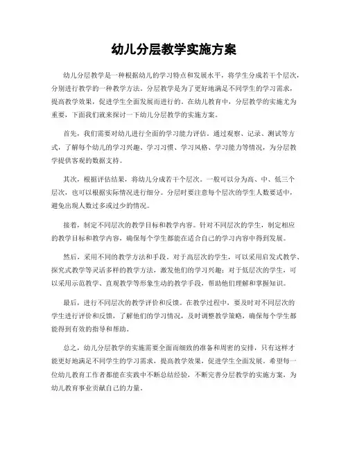 幼儿分层教学实施方案