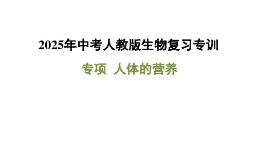 2025年中考人教版生物复习专训：人体的营养+课件