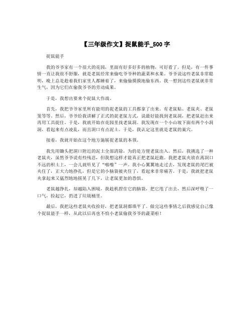 【三年级作文】捉鼠能手_500字