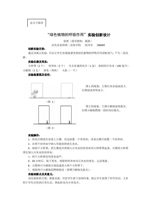 实验创新金点子