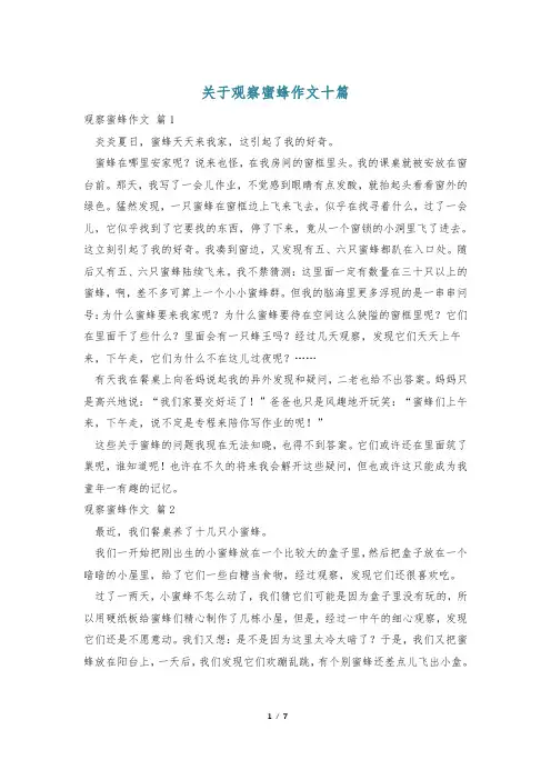 关于观察蜜蜂作文十篇